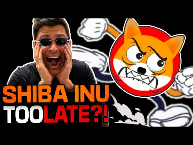 SHIBA INU COIN - SHOULD YOU BUY NOW OR IS IT TOO LATE??? #SHIB