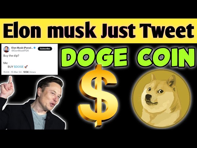 DOGE COIN 💲 伊隆·马斯克 就发推文🚀 现在不会停止🤯 最后机会💥 #elonmusk