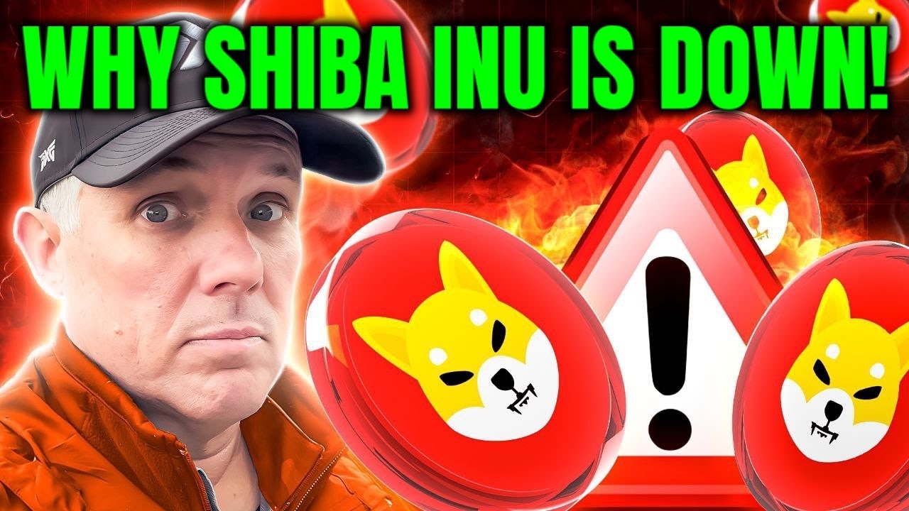 POURQUOI SHIBA INU EST EN BAS AUJOURD'HUI ! DERNIÈRES NOUVELLES SUR LES PIÈCES SHIBA INU !