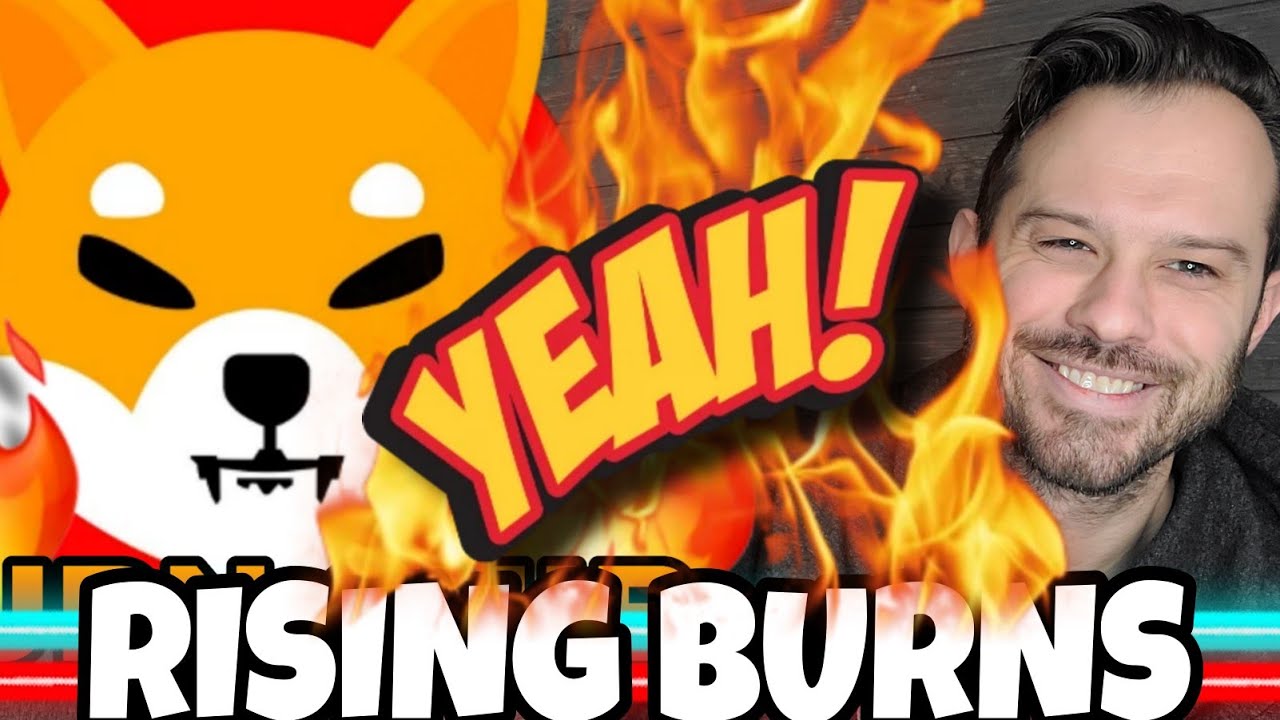 Shiba Inu Coin | SHIB Burn Rate Rises!