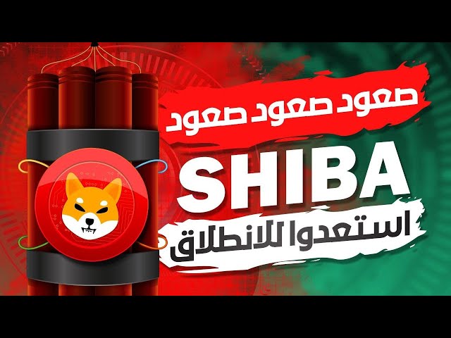 Shib se prépare à se lancer et Bitcoin rebondit. Félicitations Solana 🔥shib