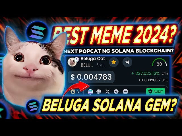 BEST MEME COIN ON SOLANA 2024? | Is Sol Blockchain's Beluga Next Popcat? Potential 200x?