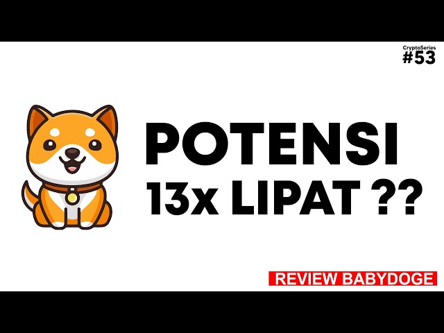 CryptoSeries #53 : Baby Doge Coin Target 13x ke Bull Run? |ベイビードージをレビューする