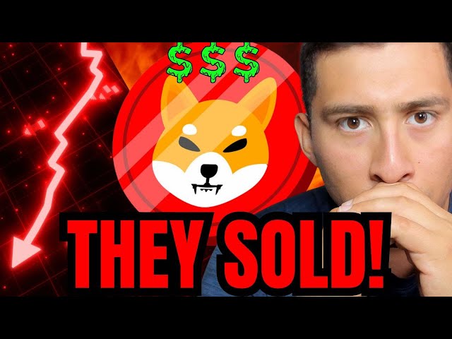 SHIBA INU COIN – WARUM SHIBA INU SCHNELL UNTERGEHT!?