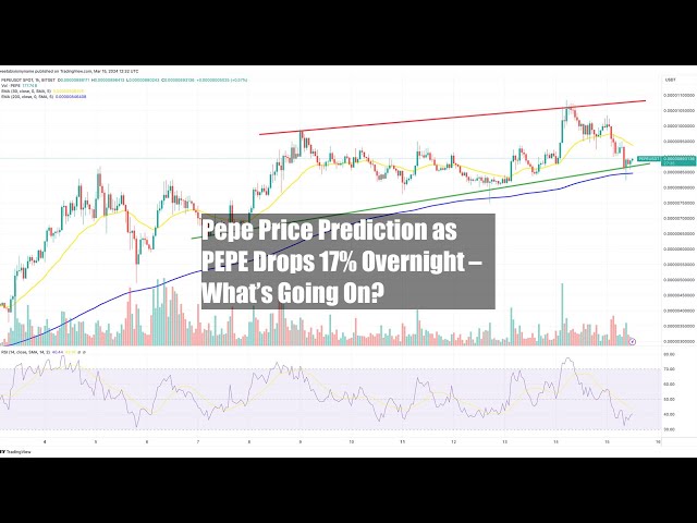 PEPEが一晩で17%下落した際のPepe価格予測 – 何が起こっているのか?