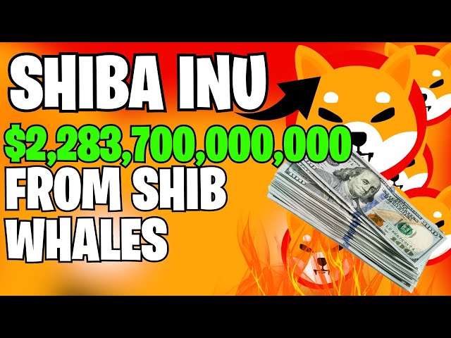 ALERT: $2,283,700,000,000 VANISHED! LAST ALERT FROM SHIB WHALES!! - SHIBA INU COIN NEWS TODAY