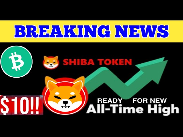 柴犬大好消息📣今日柴犬硬幣新聞📣柴犬硬幣最新更新#shib #shibainu