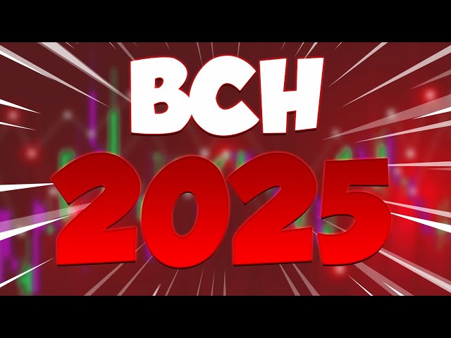 2025 年 BCH 将震惊世界 - 比特币现金价格预测和更新