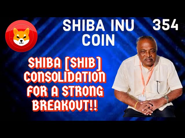 Shiba Inu：Shibarium Explorer 收到令人兴奋的新更新 ||泰卢固语 #youtubeshorts #bitcoin