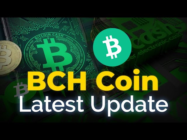 BCH币最新更新