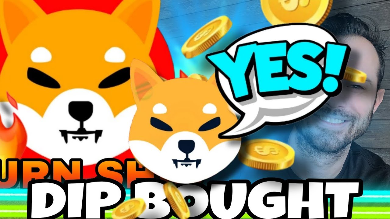 Pièce Shiba Inu | Le SHIB Dip est en cours d’achat !