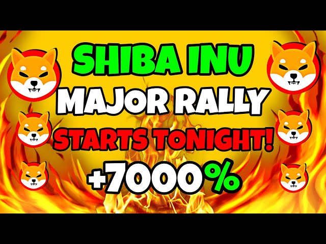 SHIBA INU COIN ENFIN 🔥 SHYTOSHI : LA GROSSE POMPE COMMENCE CE SOIR ! 🚨 PRÉDICTION DU PRIX SHIB