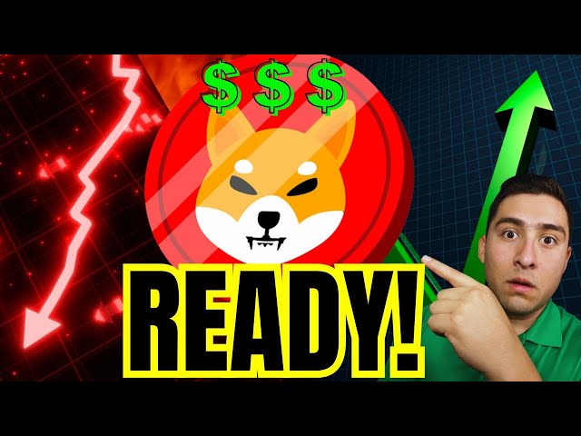 MASSIVE SHIBA INU COIN PRICE PREDICTION ALERT!