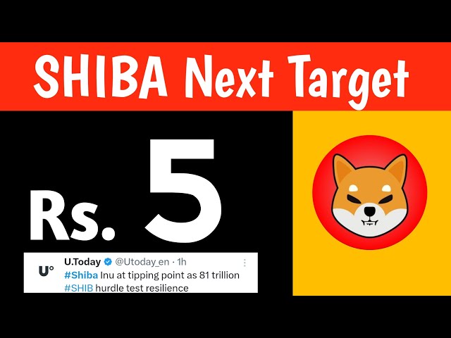 柴犬🤑肯定会上涨 0.10 美元☑️$50,000,000,000 市值将会上涨🔥 柴犬突发新闻