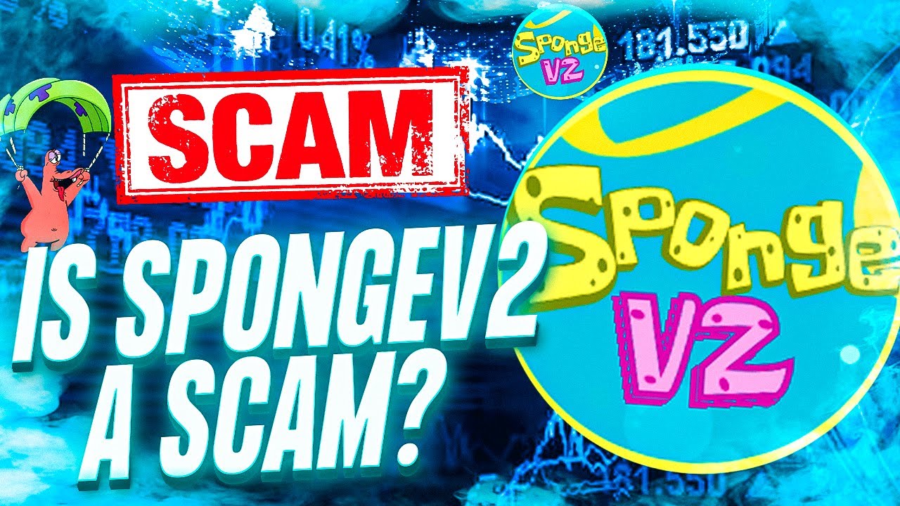 SPONGEV2 何时推出？🚨（SpongeV2 预售更新）