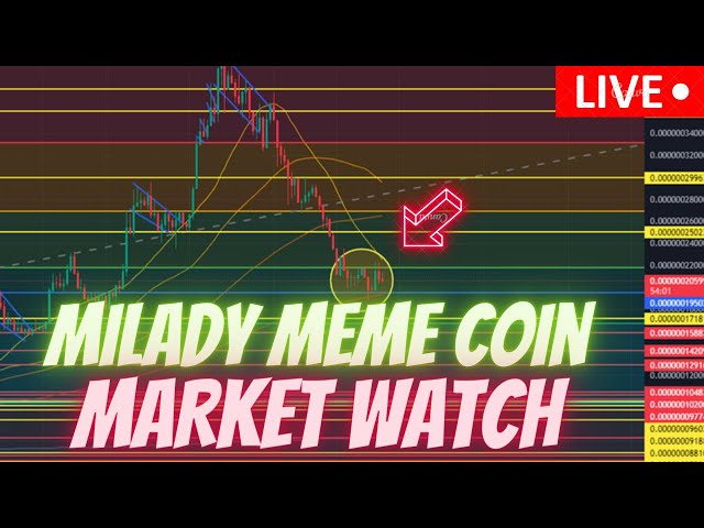 MILADY MEME COIN / BTC / JASMY COIN / DEFI / MARKET WATCH **NOUS SOMMES EN DIRECT**