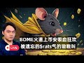 Le carnaval de SOLANA MEMECOIN et le listing rapide de BOME sur Binance ont déclenché un fort mécontentement de la part de la communauté représentée par RATS ! Binance veut vraiment de l'argent et est sans vergogne ? L'inscription est-elle toujour