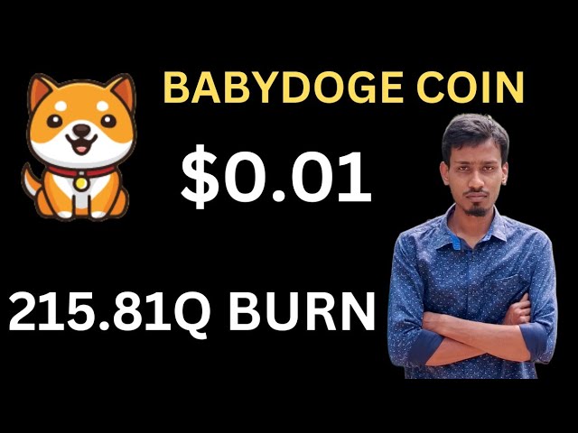 宝贝狗狗币今日新闻 | 215.81Q 燃烧 | BabyDoge 硬币价格泵 |币安上线