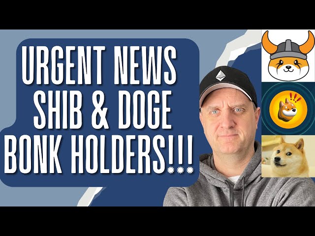 DOGE SHIBA INU 以太坊 BONK FLOKI 价格预测 🚀🔥 崩盘仍在继续？立即购买的最佳加密货币！