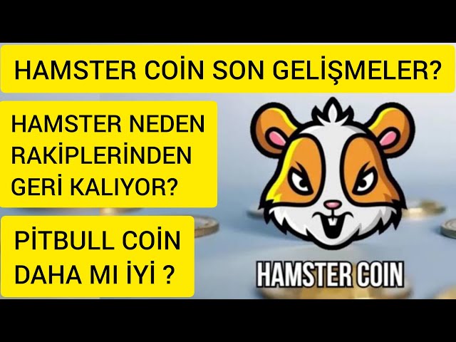 햄스터 코인 미래 2024? HAMSTER COIN이 경쟁사보다 뒤쳐지는 이유는 무엇입니까? 핏불 코인이 더 좋나요?