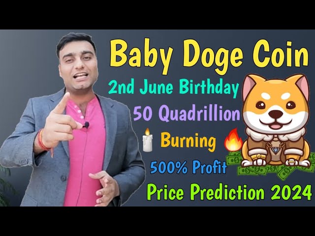 Baby Doge 코인 50조 개 소등 예정 500% 이익 | Baby Doge 6월 2일 생일 |암호화폐