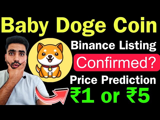 Baby Doge 코인 바이낸스 상장 소식 🔴 || Baby Dogecoin 가격 예측 || 오늘의 Baby Doge 코인 소식