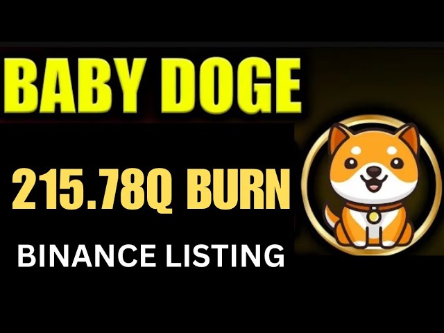 오늘의 Baby Dogecoin 뉴스 | 215.78Q 화상 | BabyDoge 코인 가격 펌프 200x | 바이낸스 상장