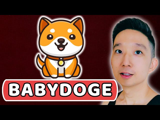 BABYDOGE Baby Doge 코인 가격 예측(2024년 3월 19일)