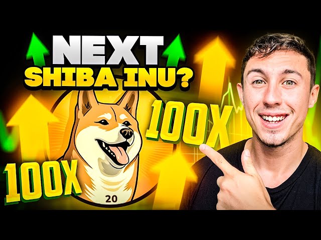 새로운 100X 잠재적 밈 코인 - 다음 SHIBA INU 또는 DOGE 코인?!