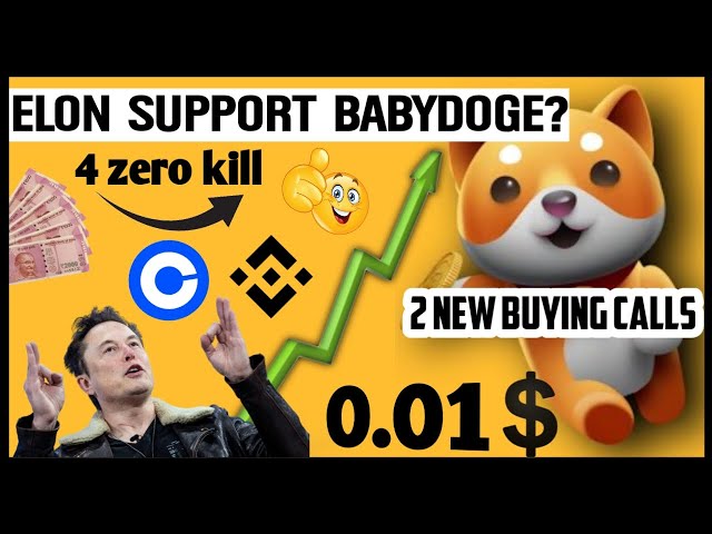 Elon Musk kauft vielleicht Baby-Dogecoin? 🥳🔥 BabyDoge Future 🔥 Heute Krypto-News