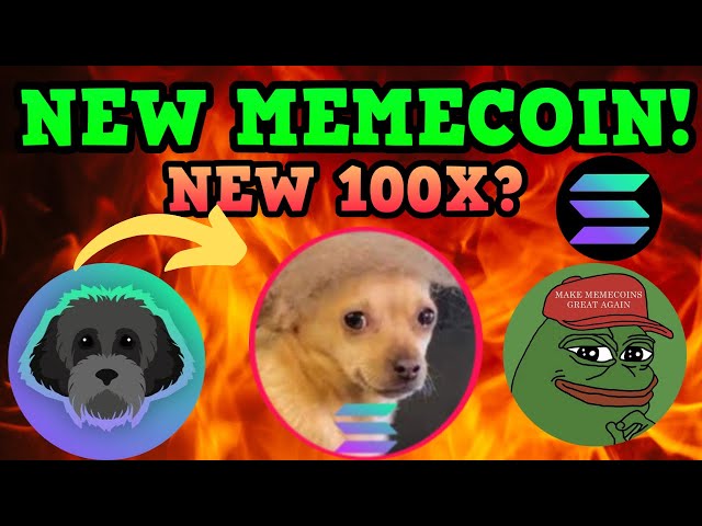 Mises à jour de Solana Memecoin ! 🔥 Myro, Pepe et le NOUVEAU jeton appartenant à la communauté $DOGALD sur les mises à jour de Solana !