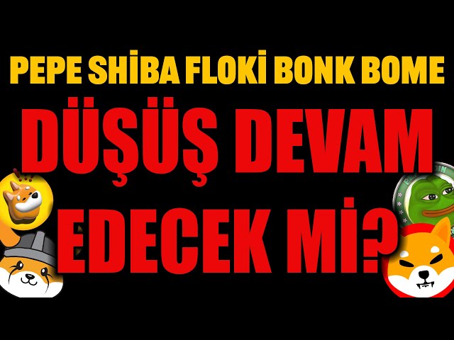 FLOKı PEPE BONK SHIBA BOME 衰退会结束吗？明天注意！！ #floki #pepe #bome #bonk #dogecoin #shib