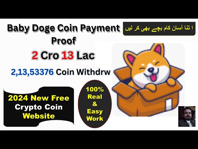 Baby Doge Coin 免费赚钱网站 2024