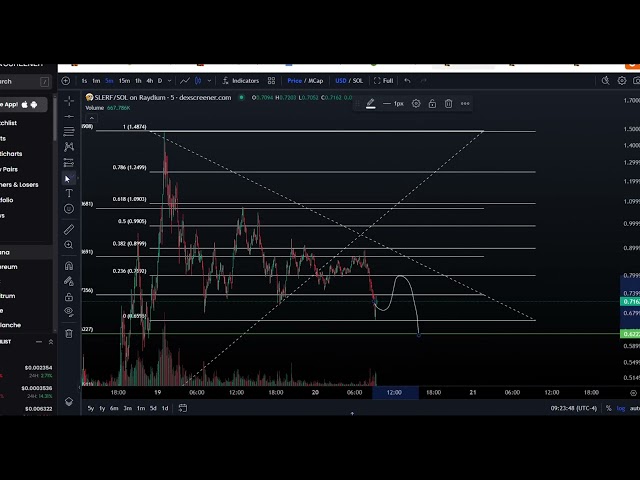 SLERF Solana Coin Crypto Price Prediction and Technical Analysis Today 2024