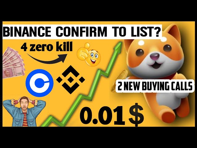 Bestätigt Baby Dogecoin, dass es auf Binance gelistet wird? 🥳🔥 BabyDoge Future 🔥 Heute Krypto-News