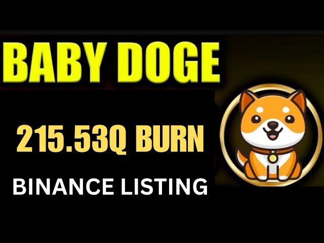 Baby Dogecoin bald 0,01 $ | 215.53Q Brennen | BabyDoge Münzpreispumpe | Binance-Auflistung