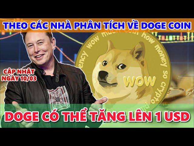 Laut Dogecoin-Analyst könnte der Preis von Doge auf 1 USD sinken