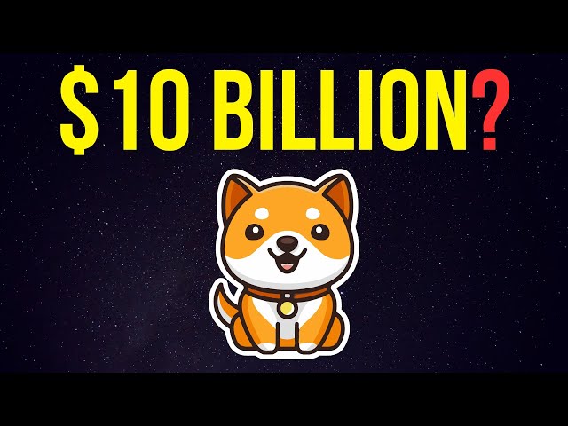 BABY DOGE COIN: 10 MILLIARDEN MARKTPAPIER MÖGLICH? | Preisvorhersage