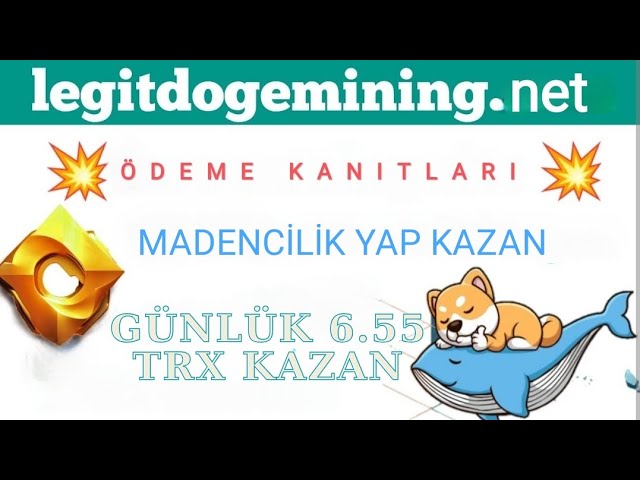 5 ZAHLUNGSNACHWEIS – LEGIT DOGE MINING – MINING UND TRX VERDIENEN