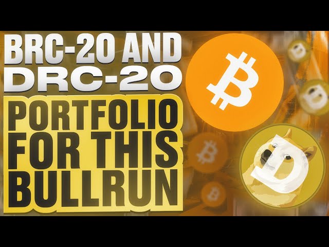 📣 此次多頭的 BRC-20 和 DRC-20 投資組合 ⚠️  #bitcoin #dogecoin #brc20 #drc20