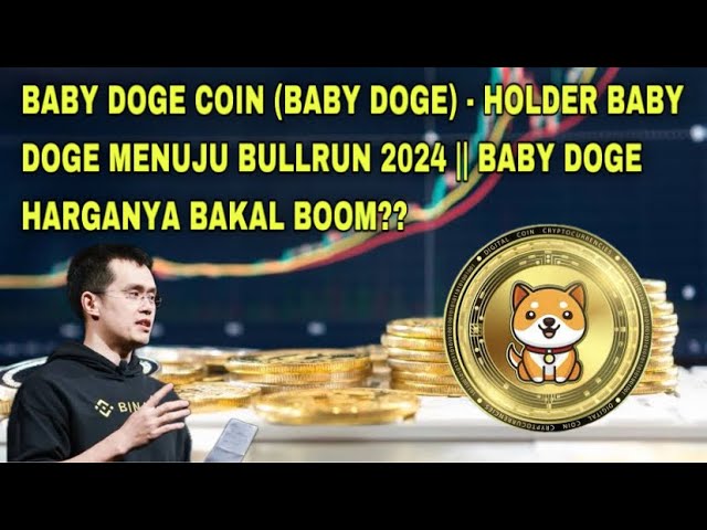 BABY DOGE COIN (BABY DOGE) - PORTE-BABY DOGE VERS BULLRUN 2024 || LES PRIX DU BABY DOGE VONT-ILS BOMMER ?