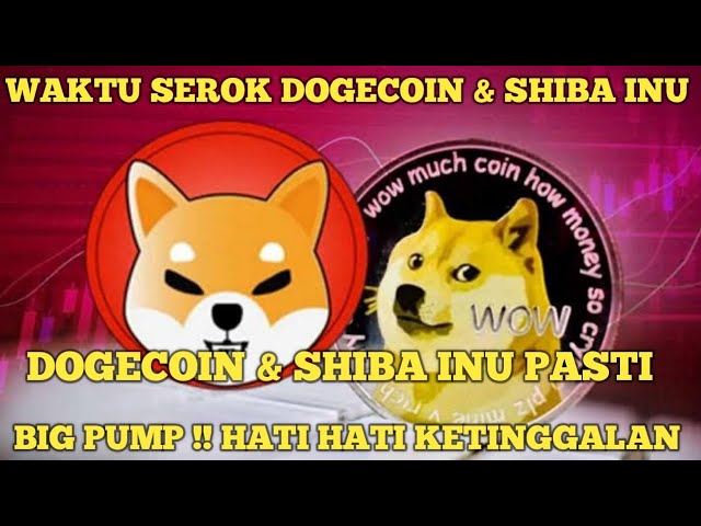 HEURE EXACTE POUR STRAAKE SHIBA ET DOGECOIN ?? ATTENTION DE MANQUER LE TRAIN SHIBA INU ET DOGECOIN