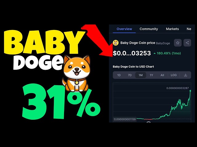 PORTE-MONNAIES Baby Doge #babydoge 31%