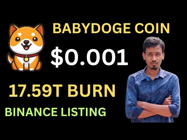 Actualités Baby Dogecoin aujourd'hui | 17,59 billions de dollars brûlés | Pompe à prix des pièces BabyDoge | Liste Binance