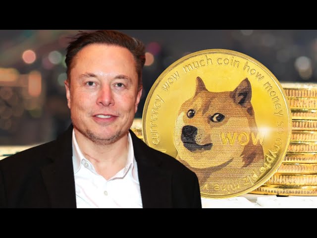 DIE ELON-MÜNZE