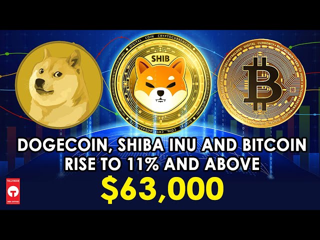 Dogecoin, Shiba Inu et Bitcoin grimpent à 11 % et dépassent 63 000 $