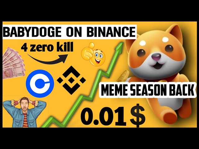 Baby Dogecoin bientôt sur Binance ? 🥳🔥 BabyDoge Future 🔥 Aujourd'hui Crypto News