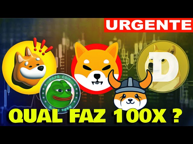 🚨哪种 Memecoin 将实现 100 倍？🚨爆炸性潜力💥#SHIBAINU #FLOKIINU #DOGECOIN #PEPECOIN #BONK