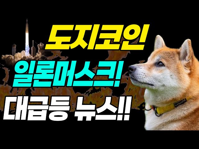 [Dogecoin] Dogecoin 전망 Dogecoin 상품 DOGE Elon Musk Dogecoin ETF