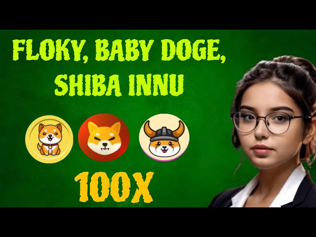 🚨注意：FLOKY、BABY DOGE、SHIBA INNU |米姆幣最新動態| 2024 年 Meme 幣價格預測